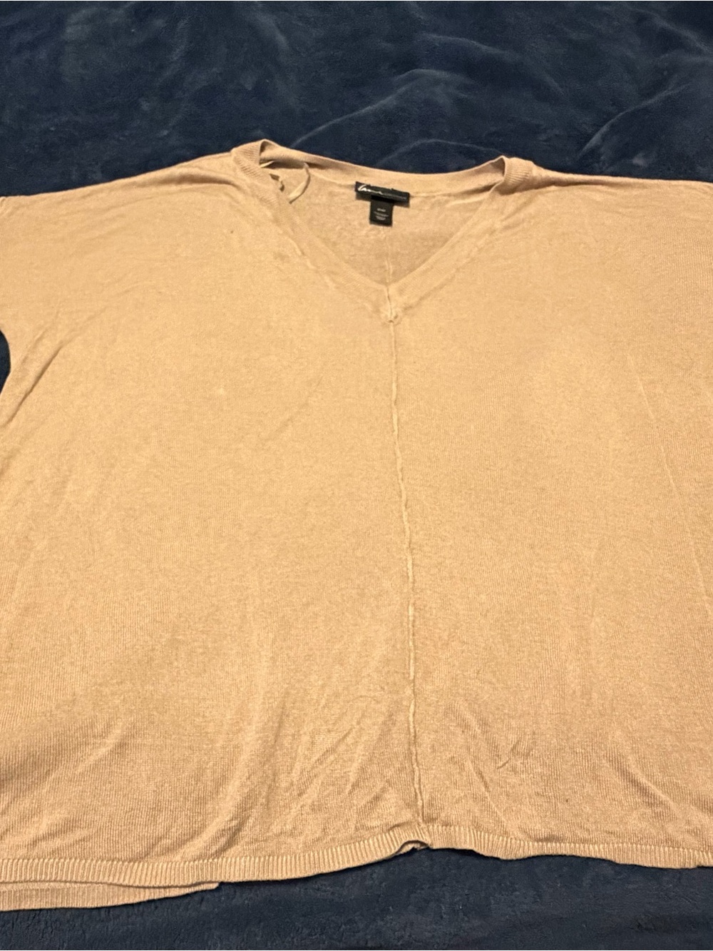 Lane Bryant V-Neck Short Sleeve Tee in Light Brown/Tan